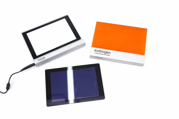Thermo Scientific Invitrogen LB0100 Dual LED Blue/White Light Transilluminator