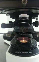 Olympus BX41 Compound Microscope with Tilting Telescope Head for Forensic Pathology, 5 of 6