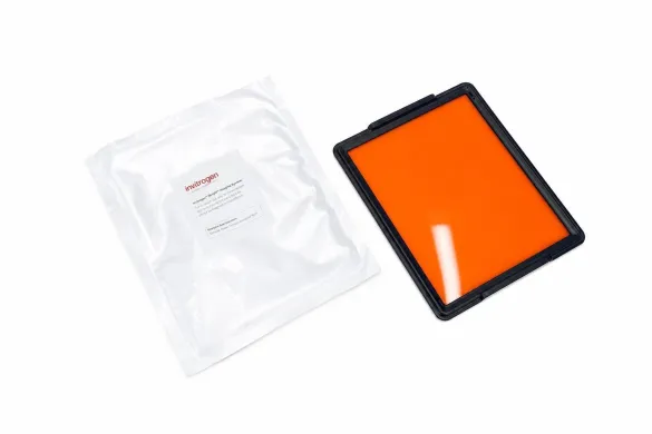 Thermo Scientific Invitrogen iBright Imaging System Contrast Tray A56597