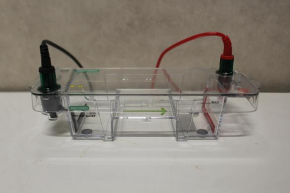 Bio-Rad Mini-Sub Cell GT Electrophoresis Cell-cover