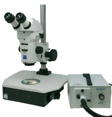 Zeiss Stemi SV 11 Apo Stereoscopic Microscope with Transmitted Light Stand