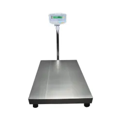 GFK Floor Checkweighing Scale with Stainless Steel Platform and RS-232 Interface, 2 of 3