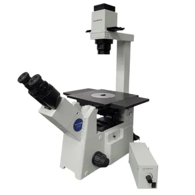 Olympus IX51 Inverted Microscope with Phase Contrast for Tissue Culture