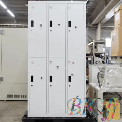 Locker Cabinet Model 6708 for 6 Persons with Individual Keys