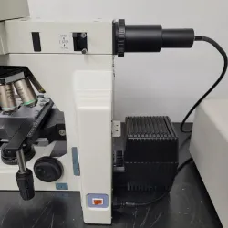 Nikon E600 Microscope with DIC and Fluorescence capabilities, 9 of 10