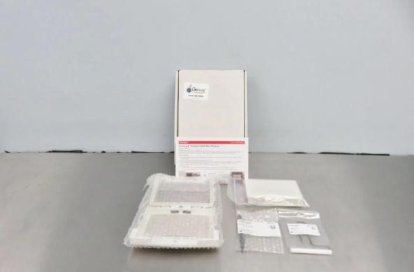 Thermo Fisher SureLock Tandem Midi Wet Transfer Blot Module for Western Blotting-cover
