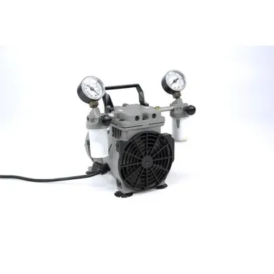 Welch 2534C-02 Standard Duty Dry Vacuum Piston Pump, 28 L/min