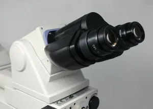 Nikon Eclipse E400 Compound Microscope with Dual Head Bridge and Oil Immersion Objective, 8 of 9