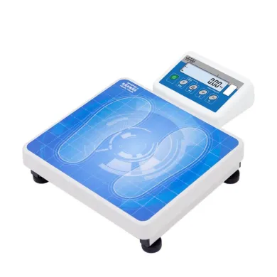 Radwag C315.100/200.OR-1 Personal Scale