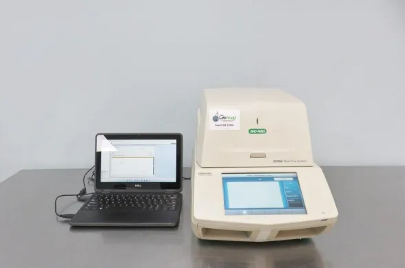 BioRad CFX96 Real-Time PCR System with Gradient and Multiplex Capabilities