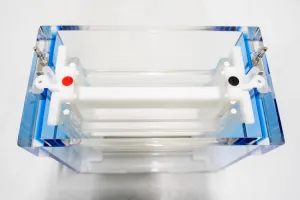 CBS Scientific DCX800 Wide Dual Mini Vertical Gel Electrophoresis System, 3 of 3
