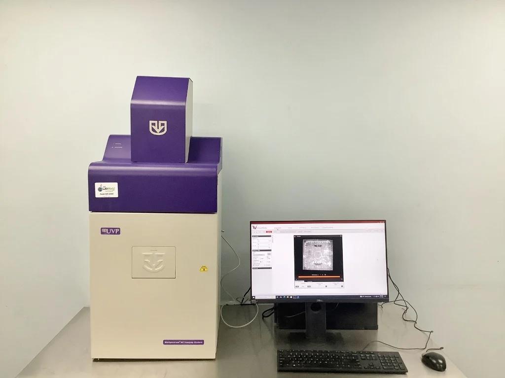 UVP Biospectrum AC Fluorescence and Chemiluminescent Gel Imaging System with CCD Camera