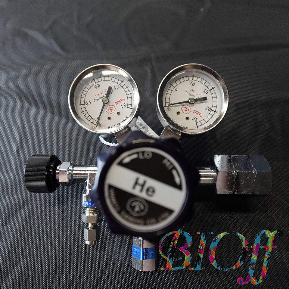 WSR-1B-R-11NTF01-2202 Standard Gas Pressure Regulator (No Box)