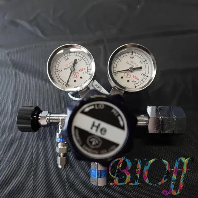 WSR-1B-R-11NTF01-2202 Standard Gas Pressure Regulator (No Box)