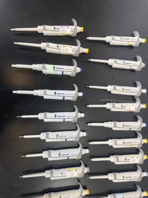 Eppendorf Research Plus Single Channel Pipettes - Quantity 25-cover