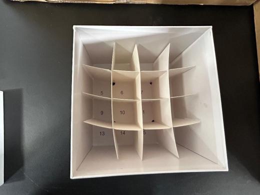 Globe Scientific 16-Place Freezer Boxes for Laboratory Sample Storage-cover