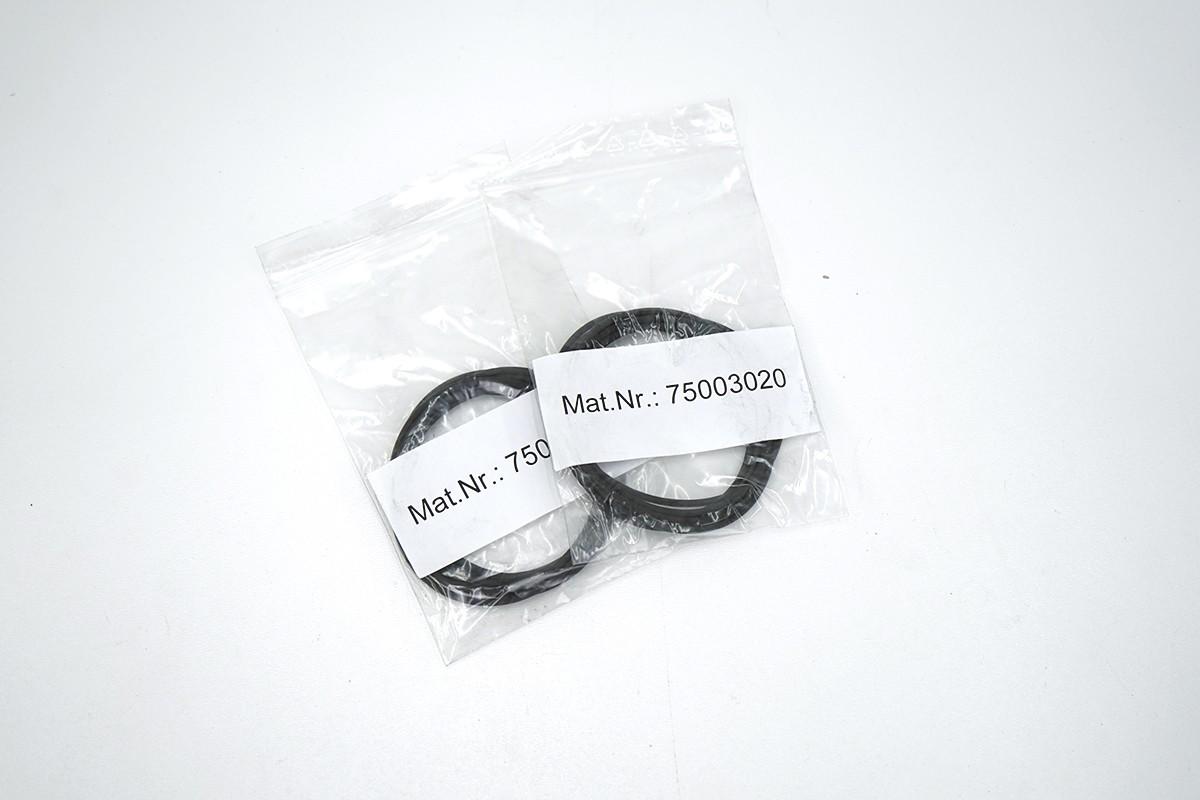 Thermo Scientific Viton O-Rings 75003020 / 15894907, Set of 2 (6x)