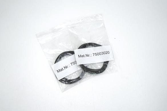 Thermo Scientific Viton O-Rings 75003020 / 15894907, Set of 2 (6x)-cover