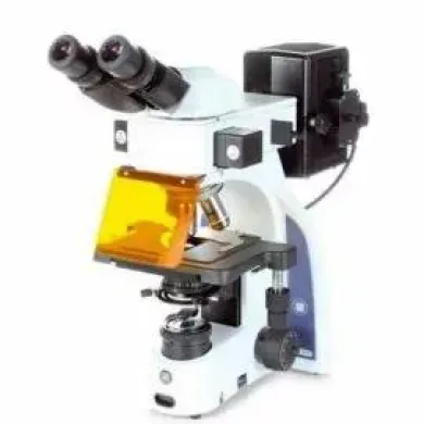 Euromex iScope IS.3153-PLFi/3 Trinocular Brightfield and Epi-fluorescence Microscope