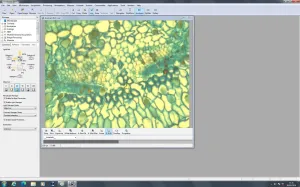 Zeiss PALM MicroBeam Laser Microdissection System with PC and Software, 12 of 109