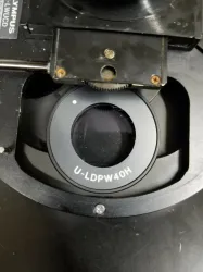 Olympus BX50 Upright Microscope with Water Immersion and DIC, 9 of 12