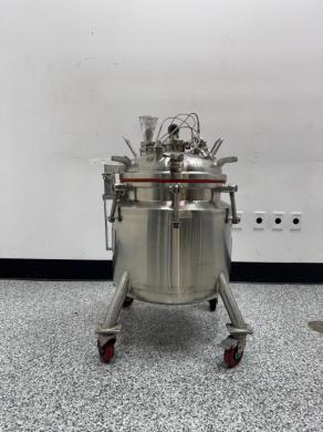 Letsch Stainless Steel Reactor Vessel for Laboratory and Industrial Chemical Reactions-cover