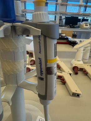 Eppendorf Single Channel Pipettes - Quantity 5-cover
