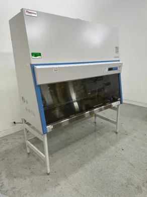 Thermo 1300 Series A2 6' Class II Biosafety Cabinet for Sterile Cell Culture