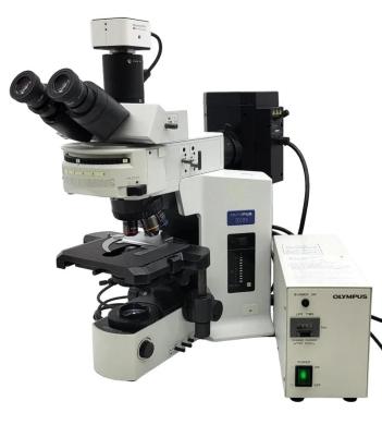 Olympus BX51 Upright Fluorescence Microscope with FISH Capability and Trinocular Head-cover