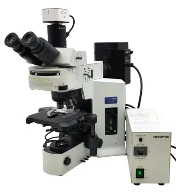 Olympus BX51 Upright Fluorescence Microscope with Trinocular Head and Tucsen MIchrome 5 Pro Camera