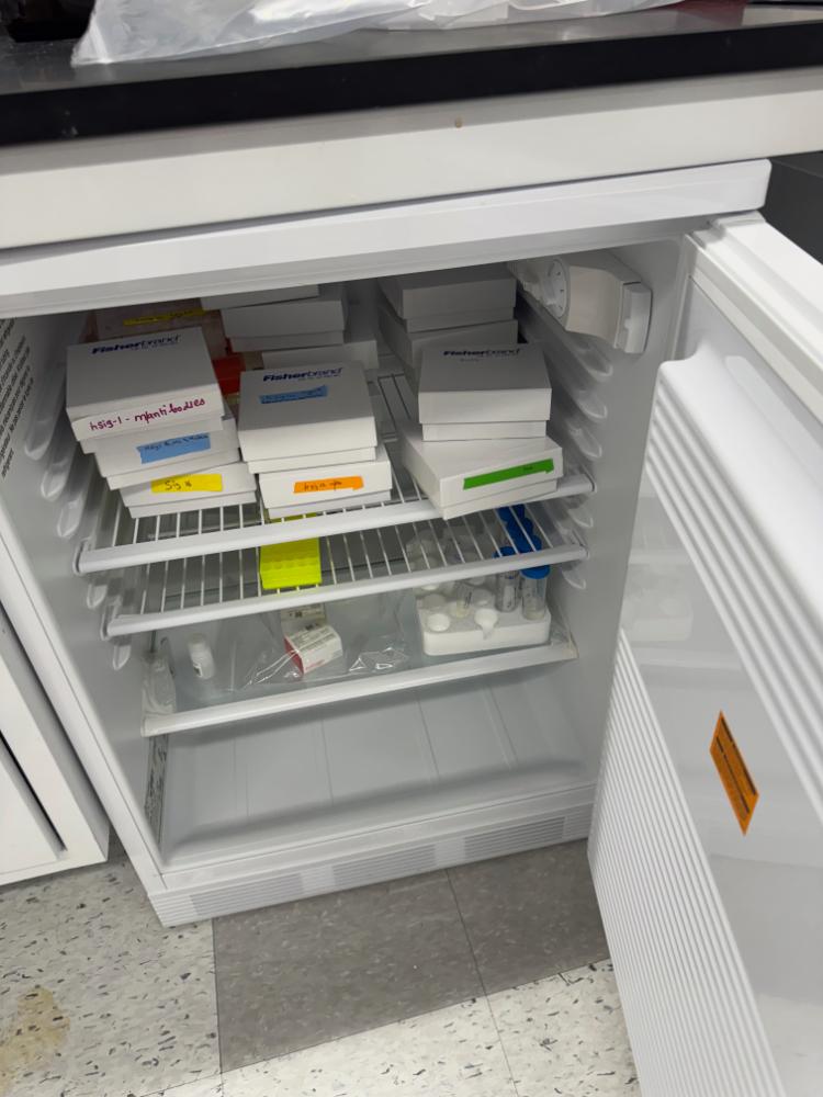 Thermo Fisher Scientific GTTSV05RPSA Undercounter Laboratory Refrigerator