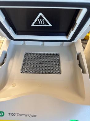 Bio-Rad T100 Thermal Cycler for PCR DNA Amplification-cover