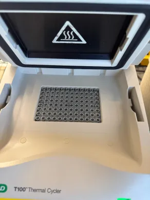 Bio-Rad T100 Thermal Cycler for PCR DNA Amplification