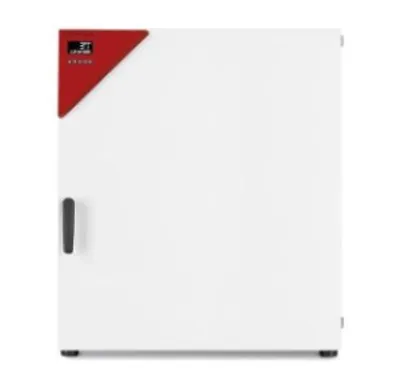 BINDER BD 260 Standard Incubator with natural convection
