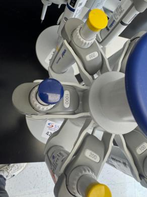 Eppendorf Research Plus Single-Channel Adjustable Micropipette Set with Rotating Stand (6 pcs)-cover