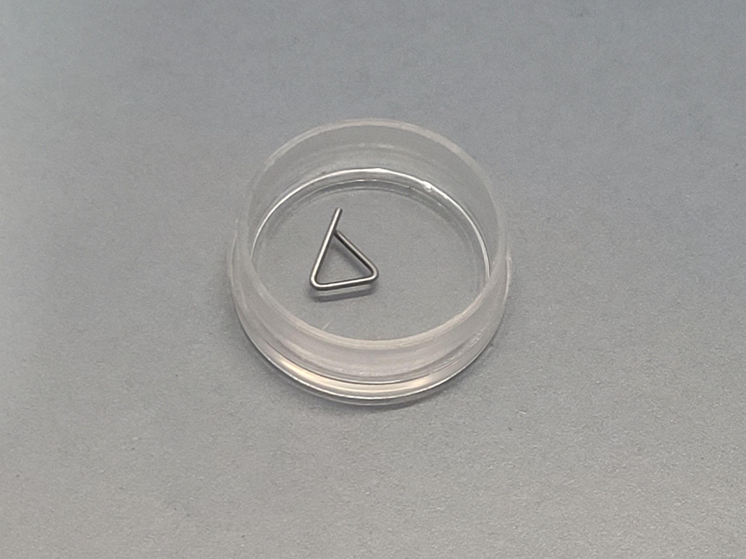 ZWIEBEL 100mg F1 Calibration Weight