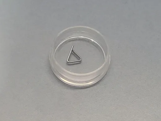 ZWIEBEL 100mg F1 Calibration Weight