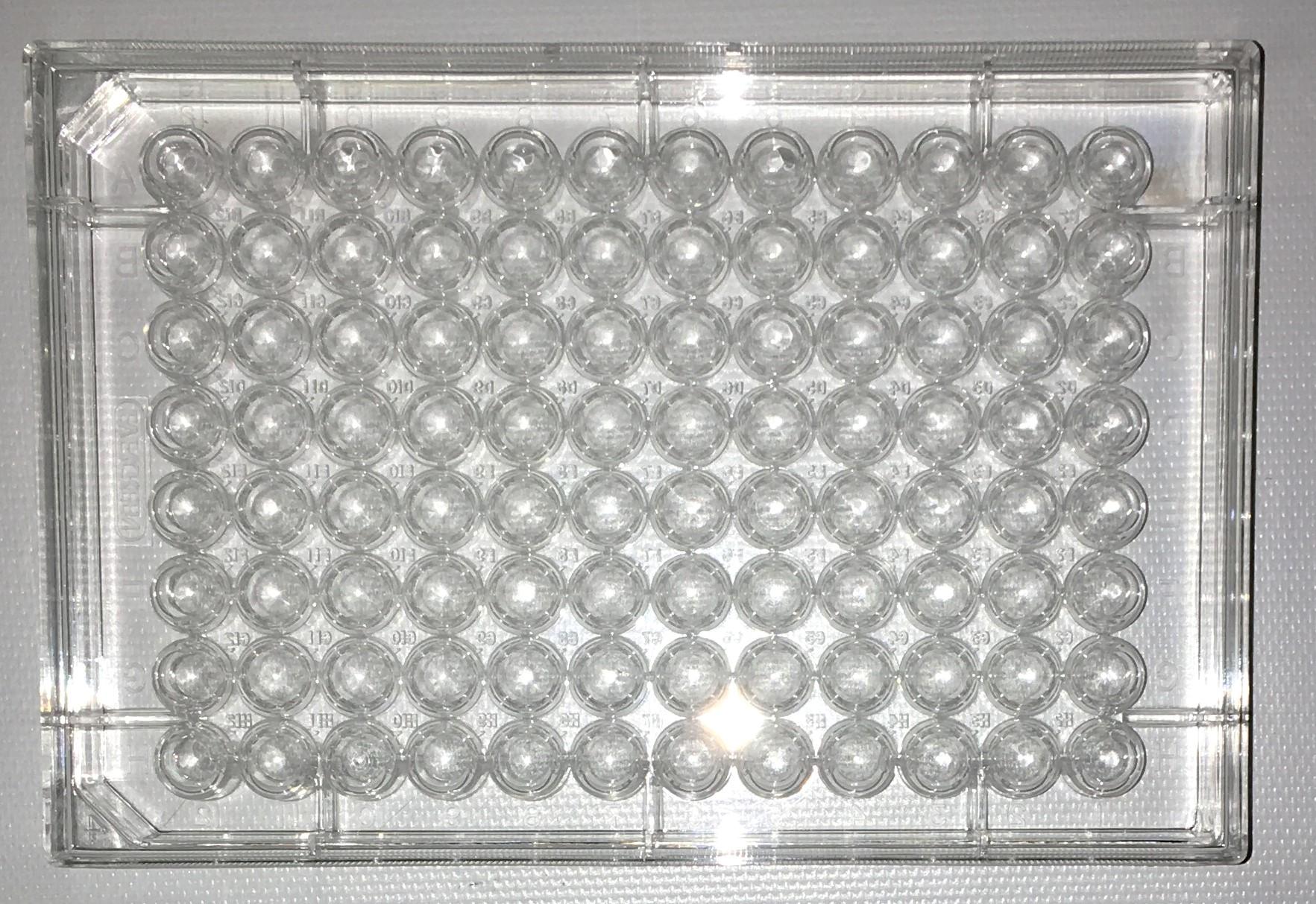 Caplugs Evergreen 290-8117-01R Clear 96-Well Round Bottom Microplate Trays
