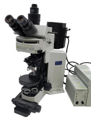 Olympus BX51 WI Upright Water Immersion Fluorescence Microscope with Trinocular Head-cover