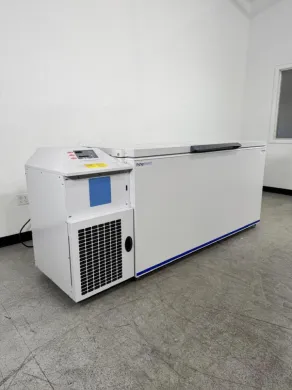 Fisherbrand Isotemp I920CD Ultra-Low Temperature Chest Freezer for Laboratory Use