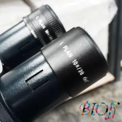 Leica DMLS Upright Optical Microscope with Canon Camera and Phase-Contrast Objectives, 3 of 14
