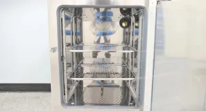 Gravity Convection Lab Incubator with Precise Temperature Control and Uniform Heating, 3 of 13