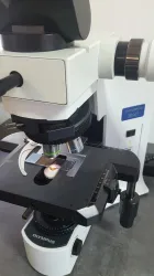 Olympus BX41 Compound Microscope with Dual Head Bridge and LED Side-by-Side Pointer, 2 of 7