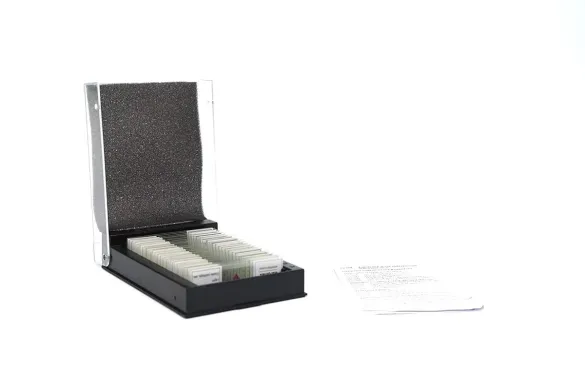 Euromex PB.5222 EuroSlides 23-Piece Histology Microscope Slide Set
