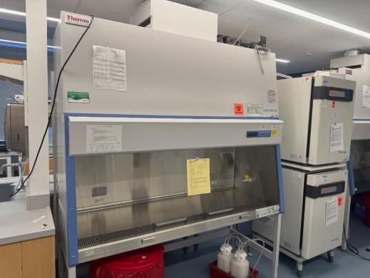 Thermo 1300 Series A2 6' BioSafety Cabinet-cover