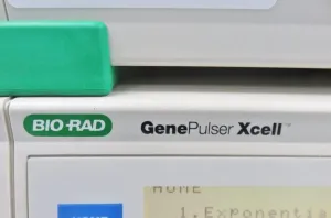 Bio-Rad Gene Pulser Xcell Modular Electroporation System with Square and Exponential Waveforms, 11 of 14