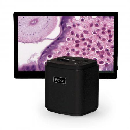 Accu-Scope Excelis™ HD Microscope Camera with 11.6" HD Monitor
