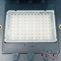Applied Biosystems StepOne Plus Real-Time PCR System with Laptop Computer, 6 of 8