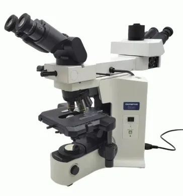 Olympus BX41 Microscope with Front to Back Bridge and Fluorite Objectives for Pathology/Mohs