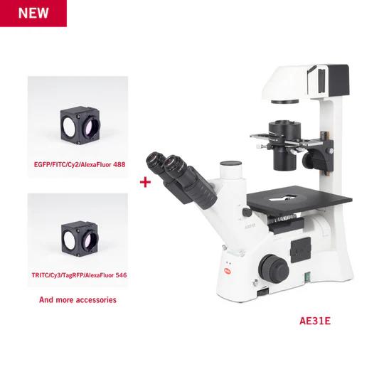 Motic AE31E LED Trinocular Inverted Fluorescence Microscope with FITC/TRITC Filter Bundle